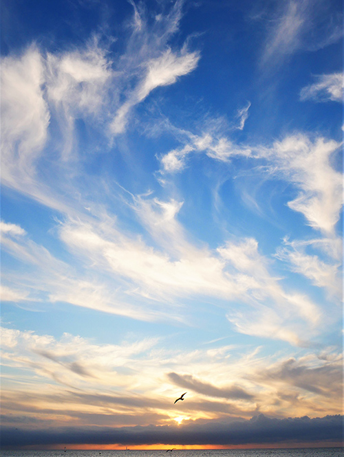 Placeholder événement 7