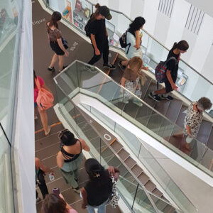 Bibliothèques universitaires